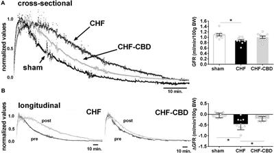 Peripheral chemoreflex modulation of renal hemodynamics and renal tissue PO2 in chronic heart failure with reduced ejection fraction